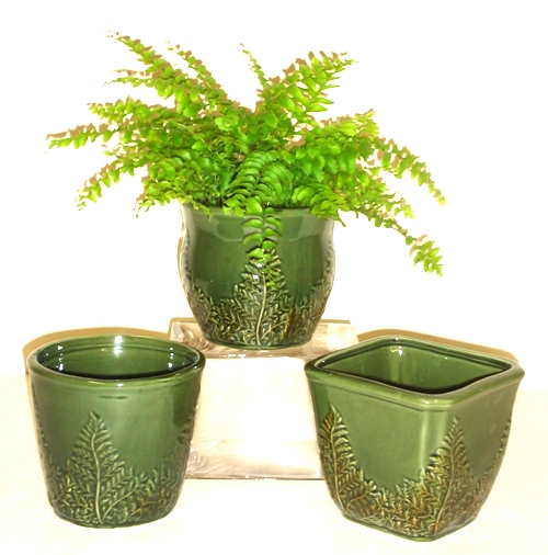 5" Ceramic Fern Pottery